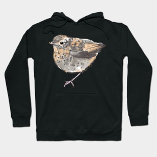 Robin Hoodie